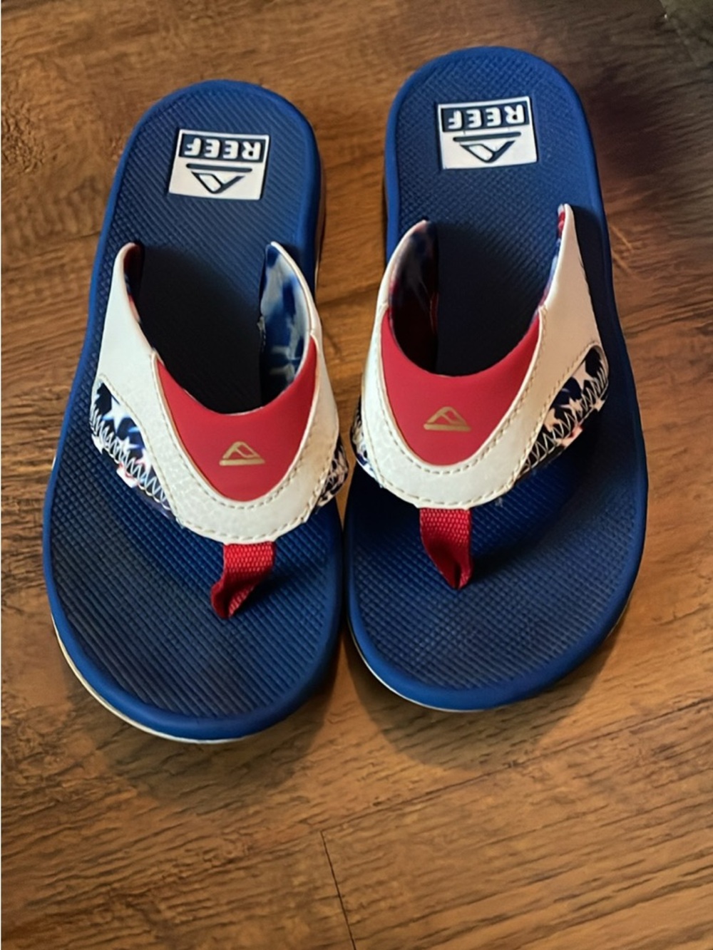 Reef Kids Blue, Red & White Flip-Flops